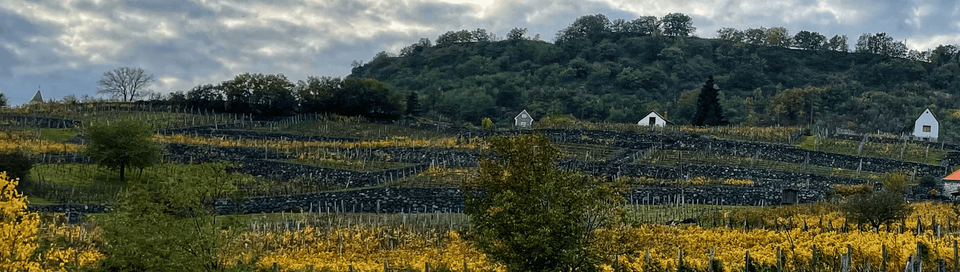 Balaton-felvidék szállás, vidéki vendégház